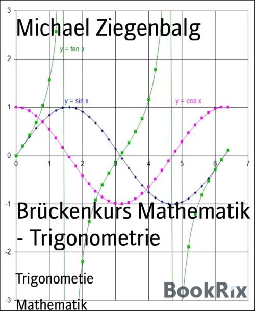 Cover of the book Brückenkurs Mathematik - Trigonometrie by Michael Ziegenbalg, BookRix