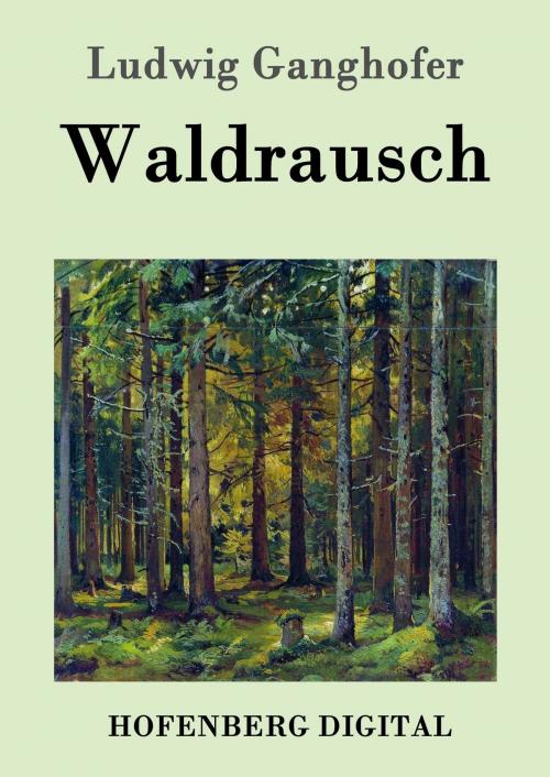 Cover of the book Waldrausch by Ludwig Ganghofer, Hofenberg