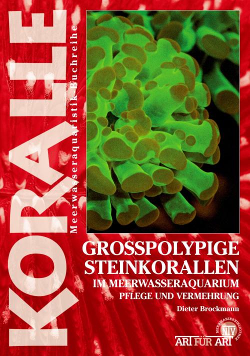 Cover of the book Grosspolypige Steinkorallen im Meerwasseraquarium by Dieter Brockmann, Natur und Tier - Verlag