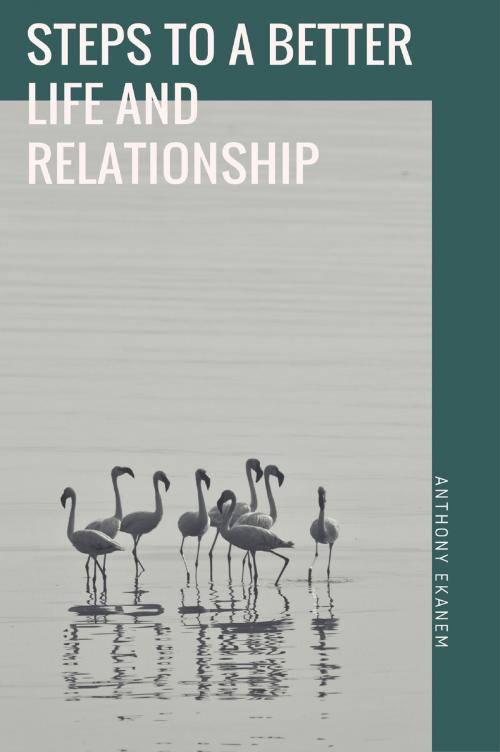 Cover of the book Steps to a Better Life and Relationship by Anthony Ekanem, Anthony Ekanem