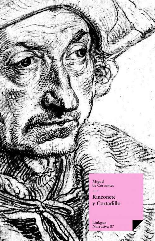 Cover of the book Rinconete y Cortadillo by Miguel de Cervantes Saavedra, Red ediciones