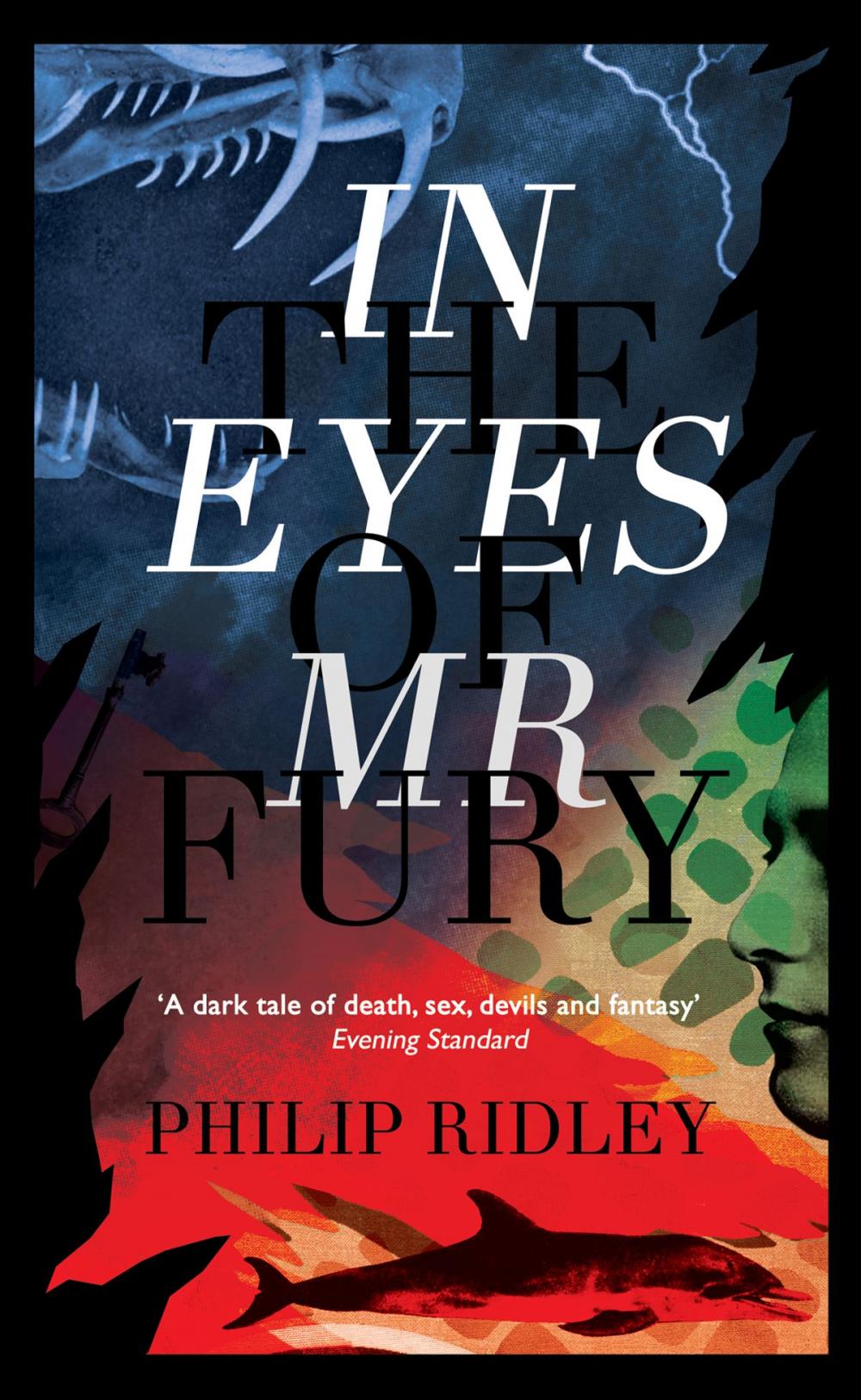 Big bigCover of In the Eyes of Mr Fury