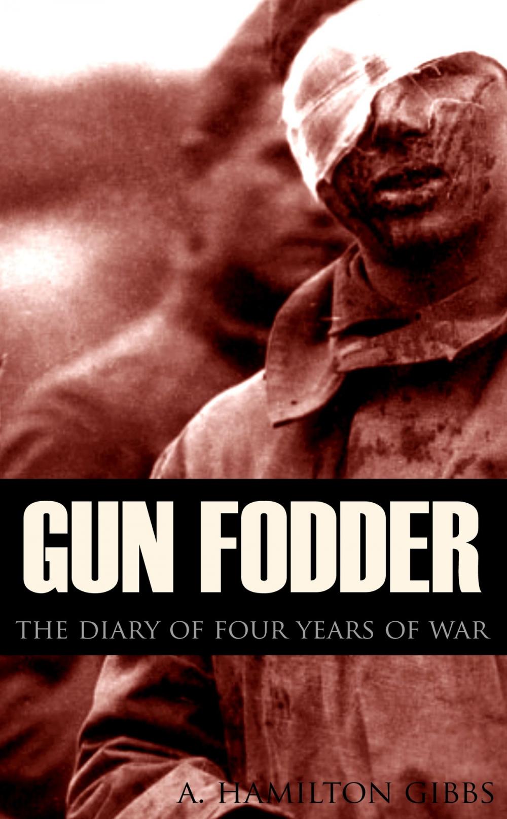 Big bigCover of Gun Fodder: The diary of four years of war (New Intro, Annotated)