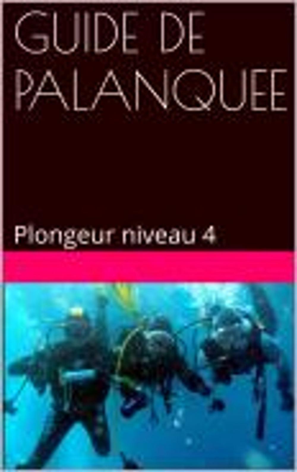 Big bigCover of GUIDE DE PALANQUEE