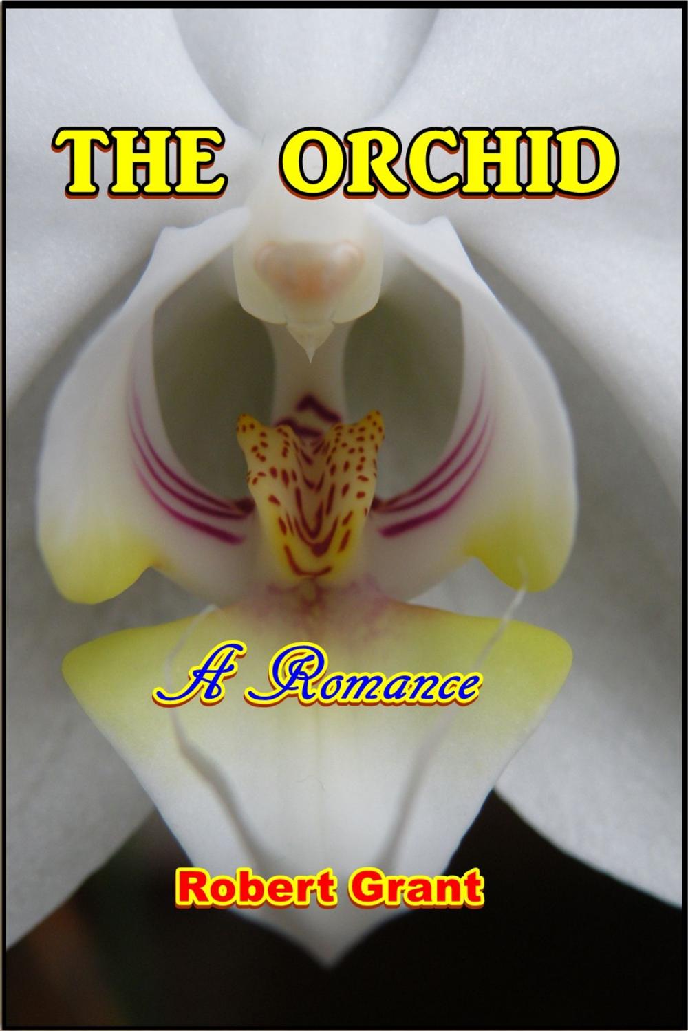 Big bigCover of The Orchid