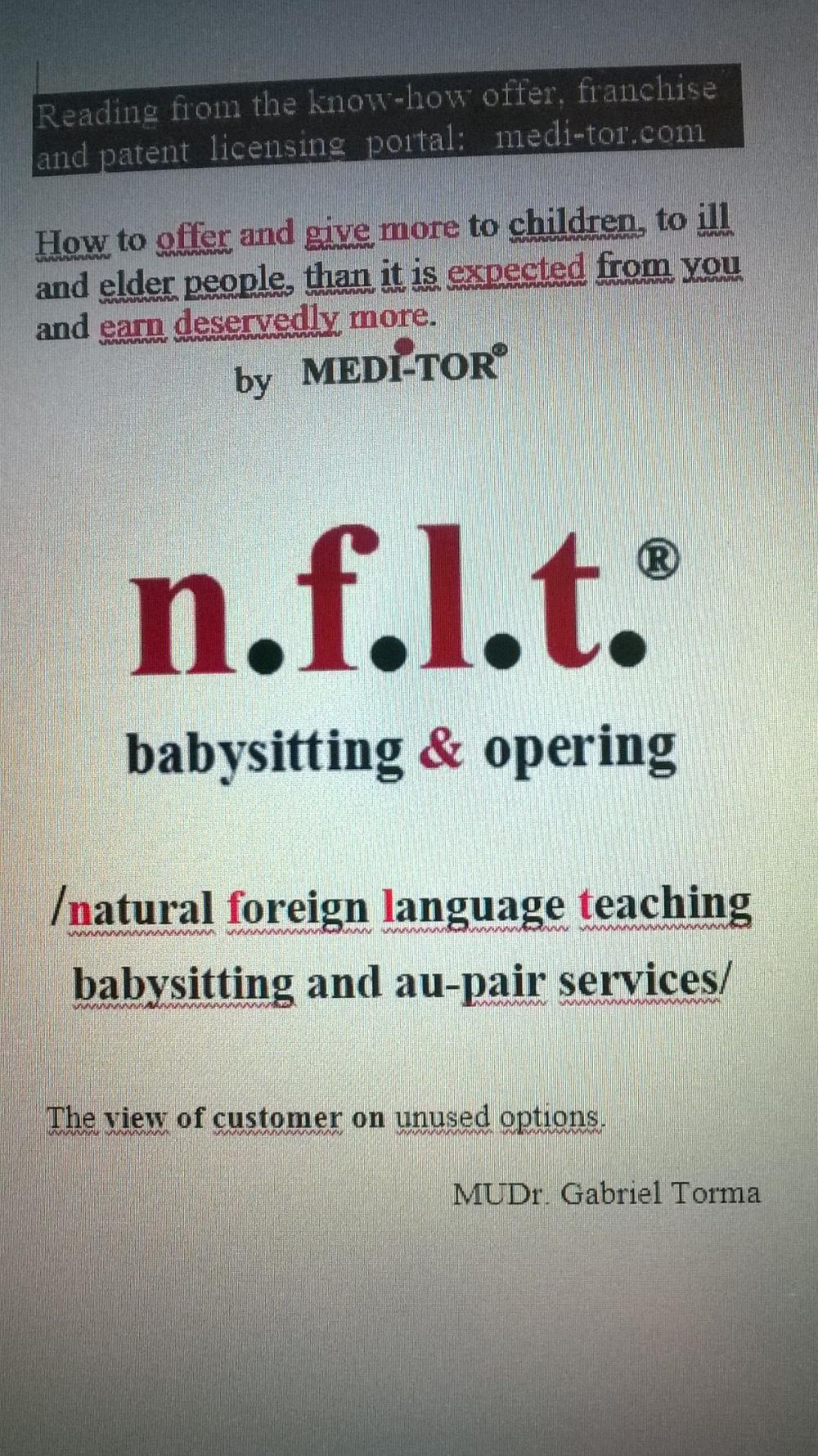 Big bigCover of n.f.l.t. babysitting and opering /natural foreign language teaching,babysitting and au-pair services/