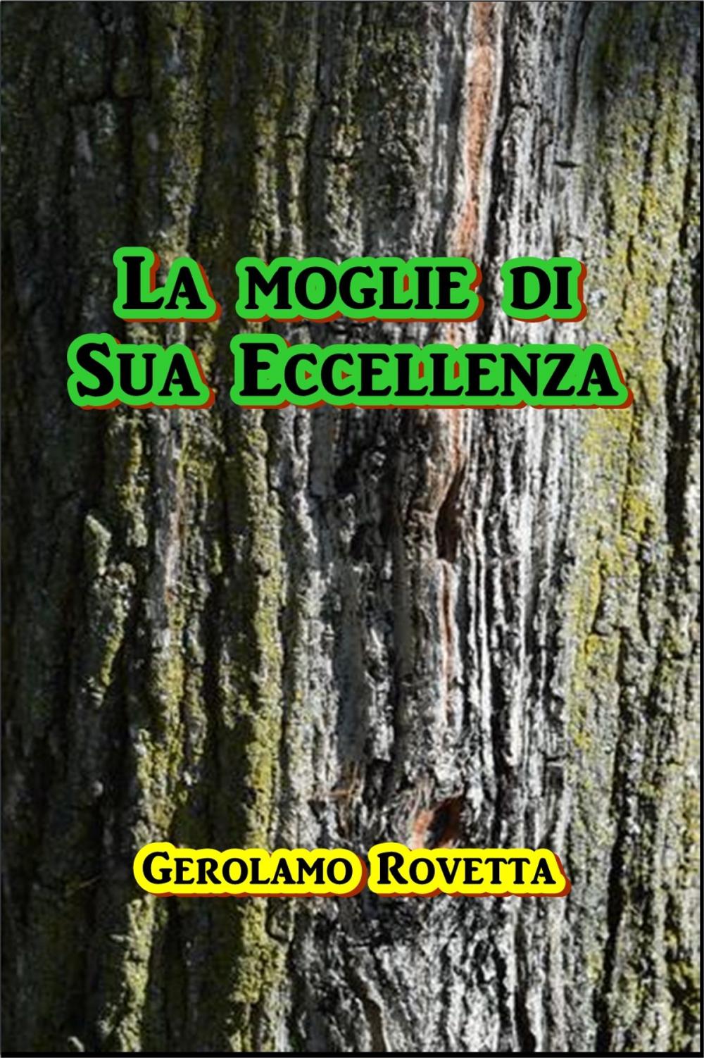 Big bigCover of La moglie di Sua Eccellenza