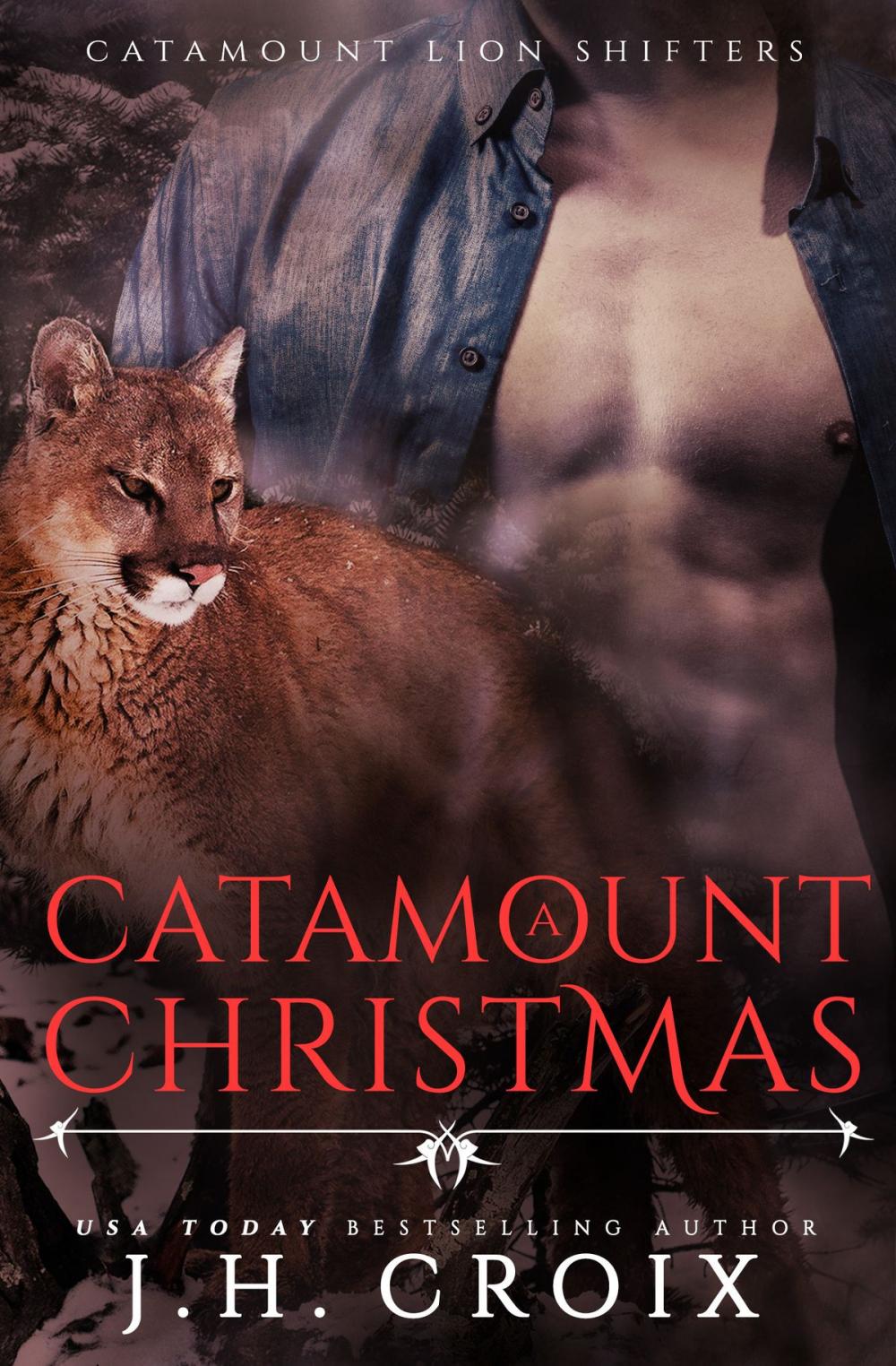 Big bigCover of A Catamount Christmas