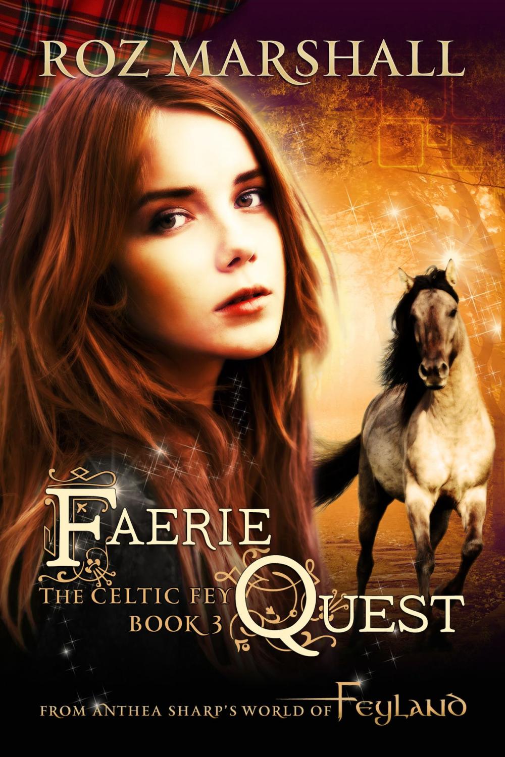 Big bigCover of Faerie Quest