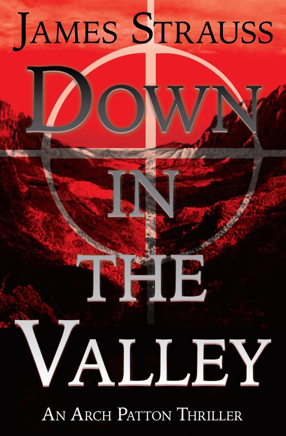 Big bigCover of Down In The Valley: An Arch Patton Adventure