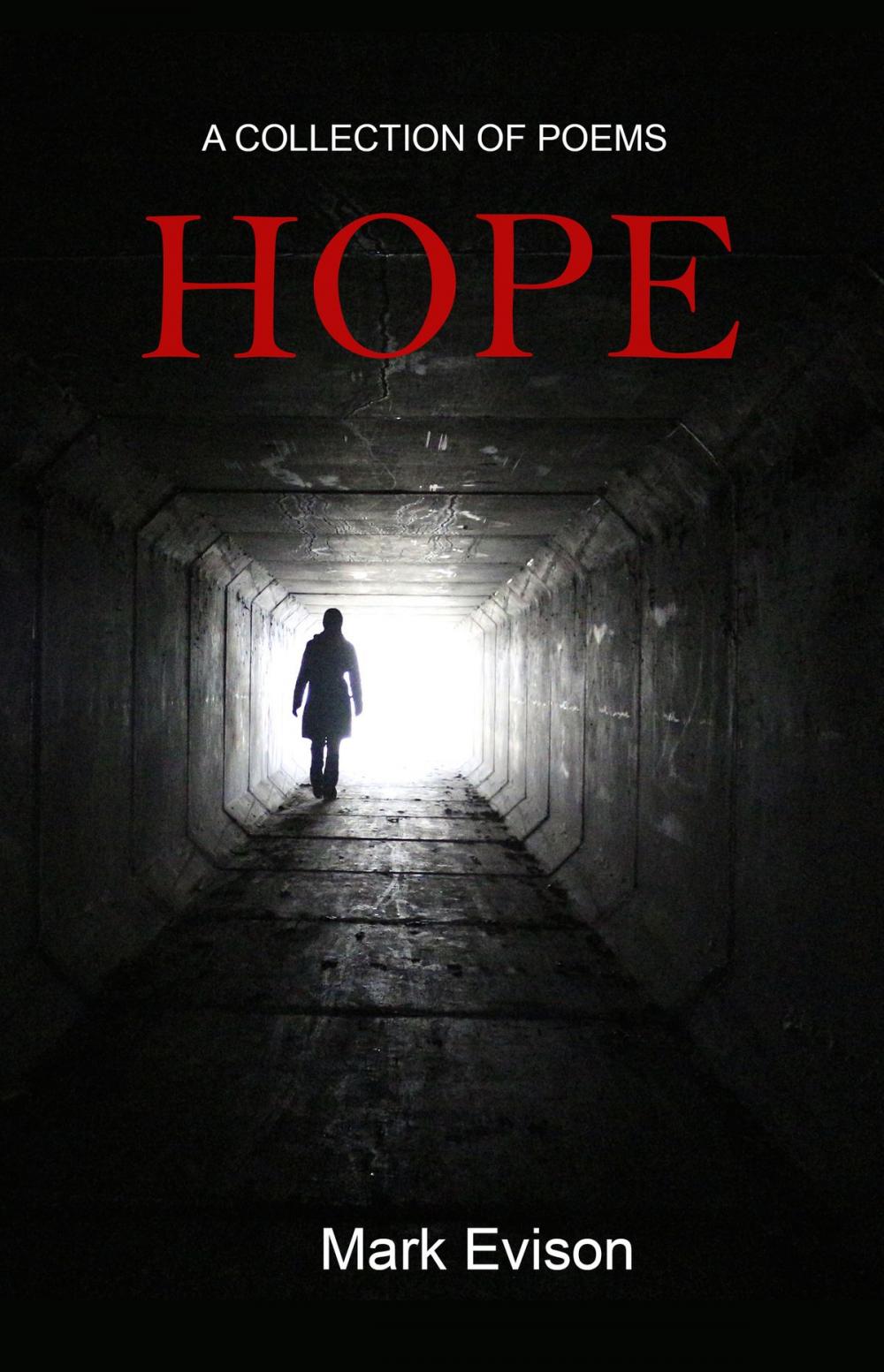 Big bigCover of HOPE