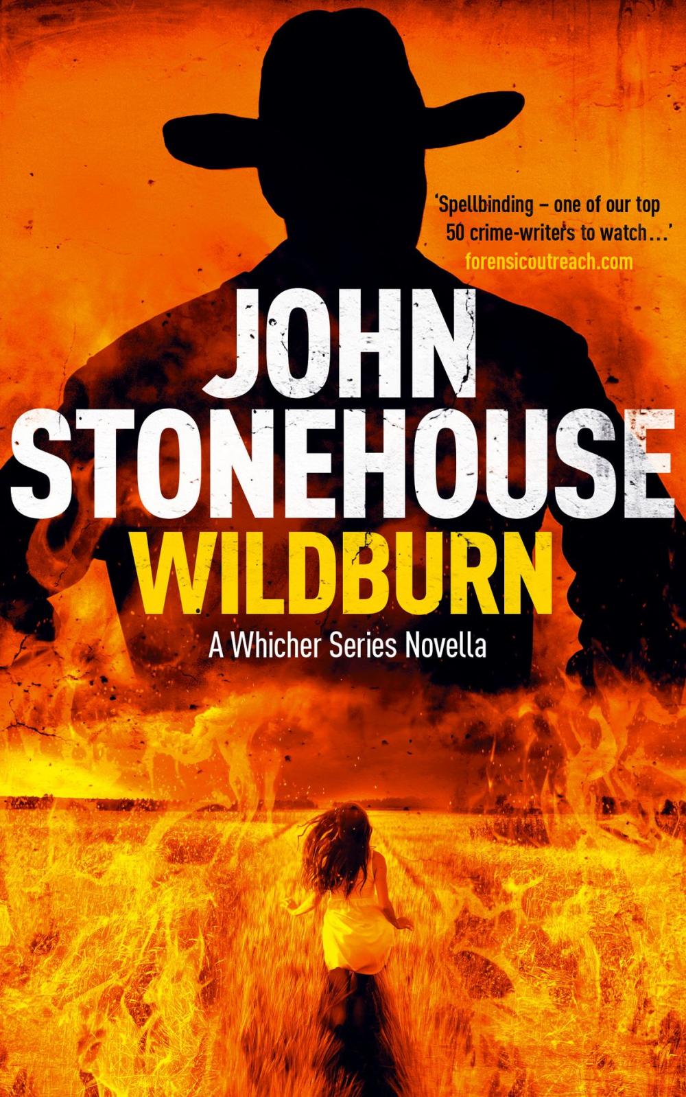 Big bigCover of Wildburn