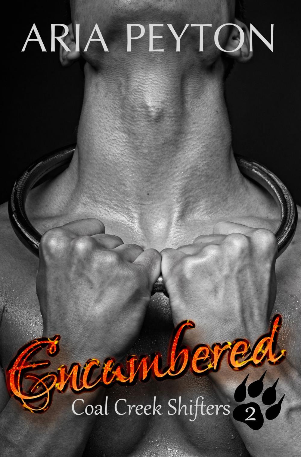 Big bigCover of Encumbered