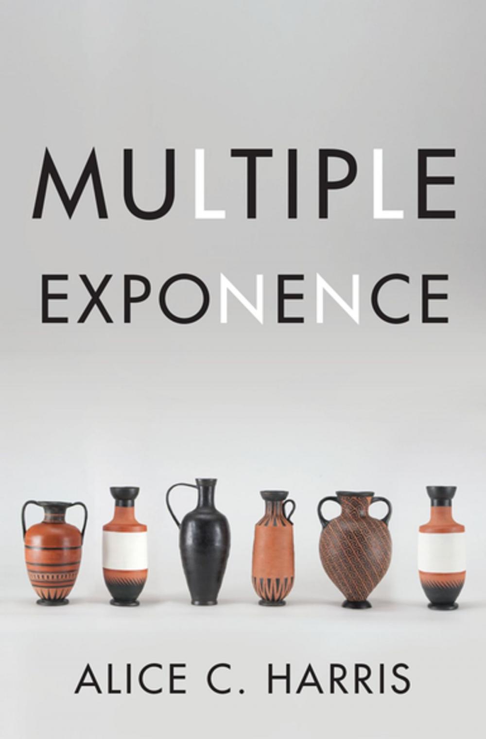 Big bigCover of Multiple Exponence