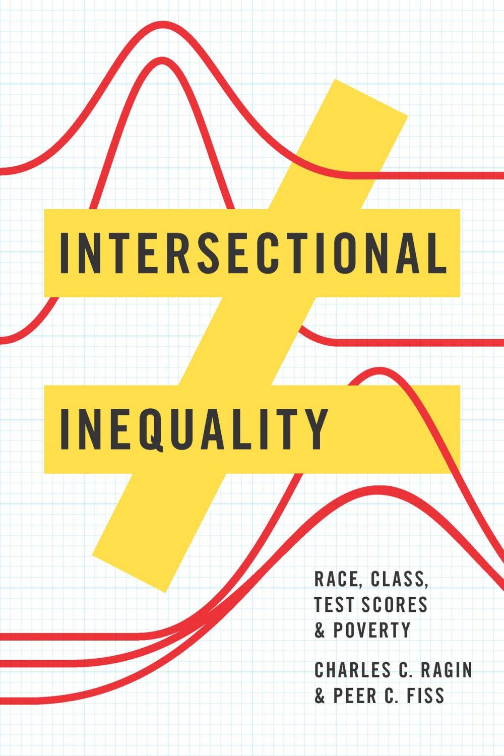 Big bigCover of Intersectional Inequality