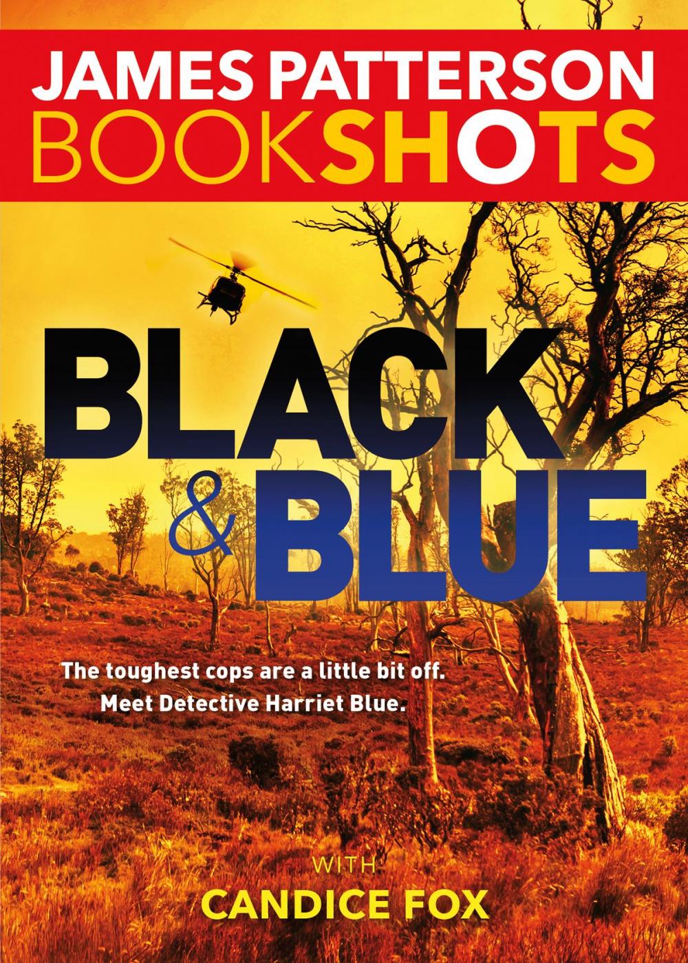 Big bigCover of Black & Blue