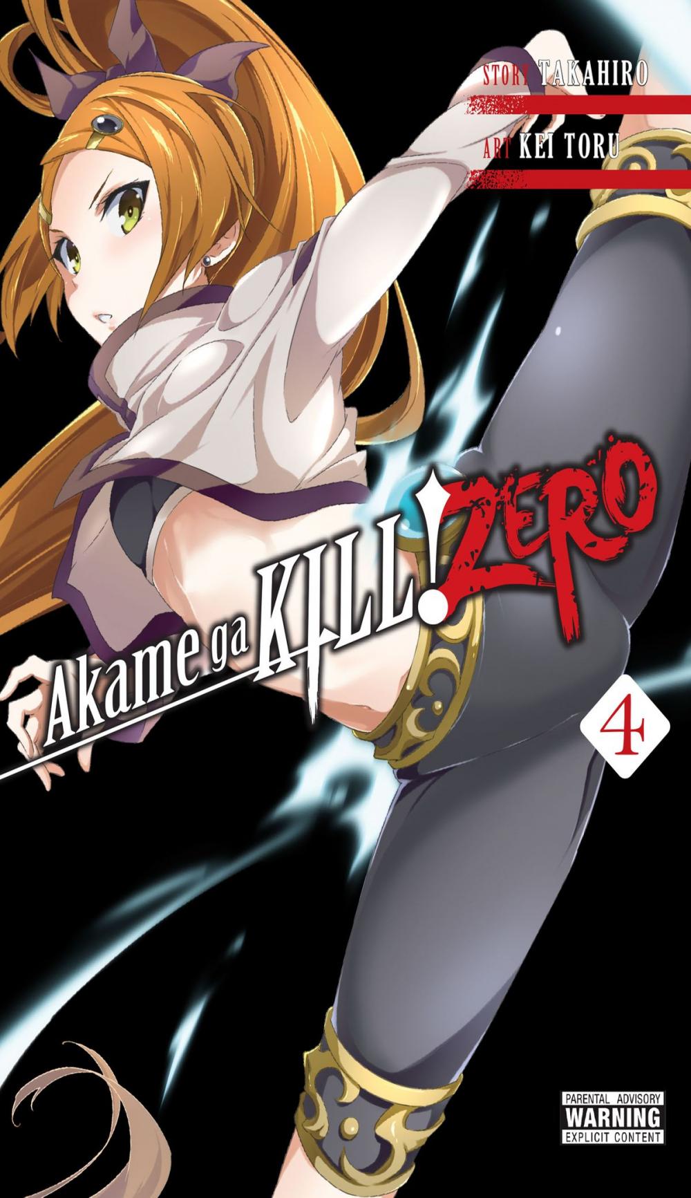 Big bigCover of Akame ga KILL! ZERO, Vol. 4