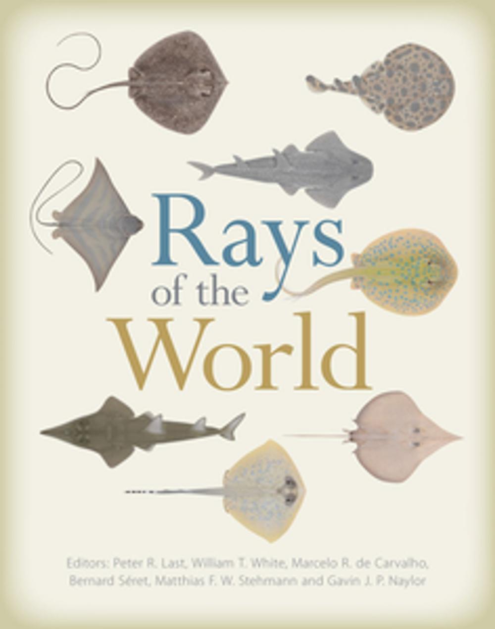 Big bigCover of Rays of the World