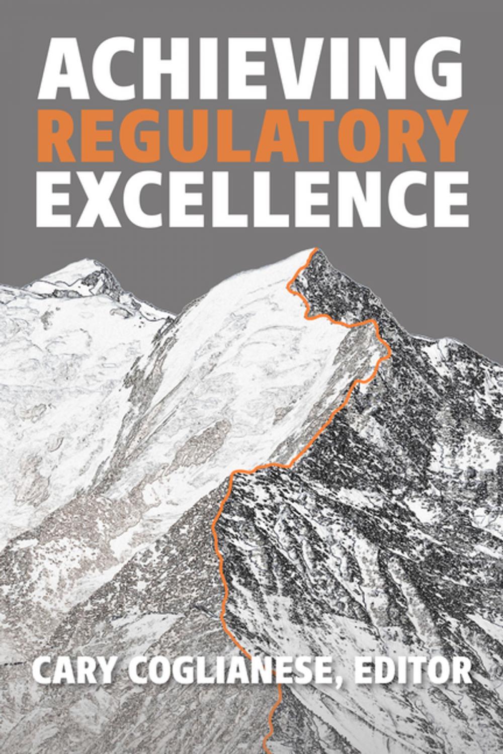 Big bigCover of Achieving Regulatory Excellence