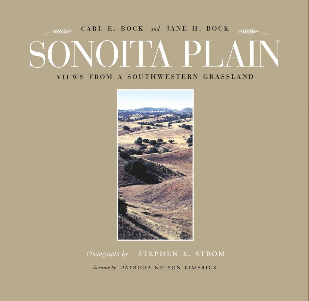 Big bigCover of Sonoita Plain