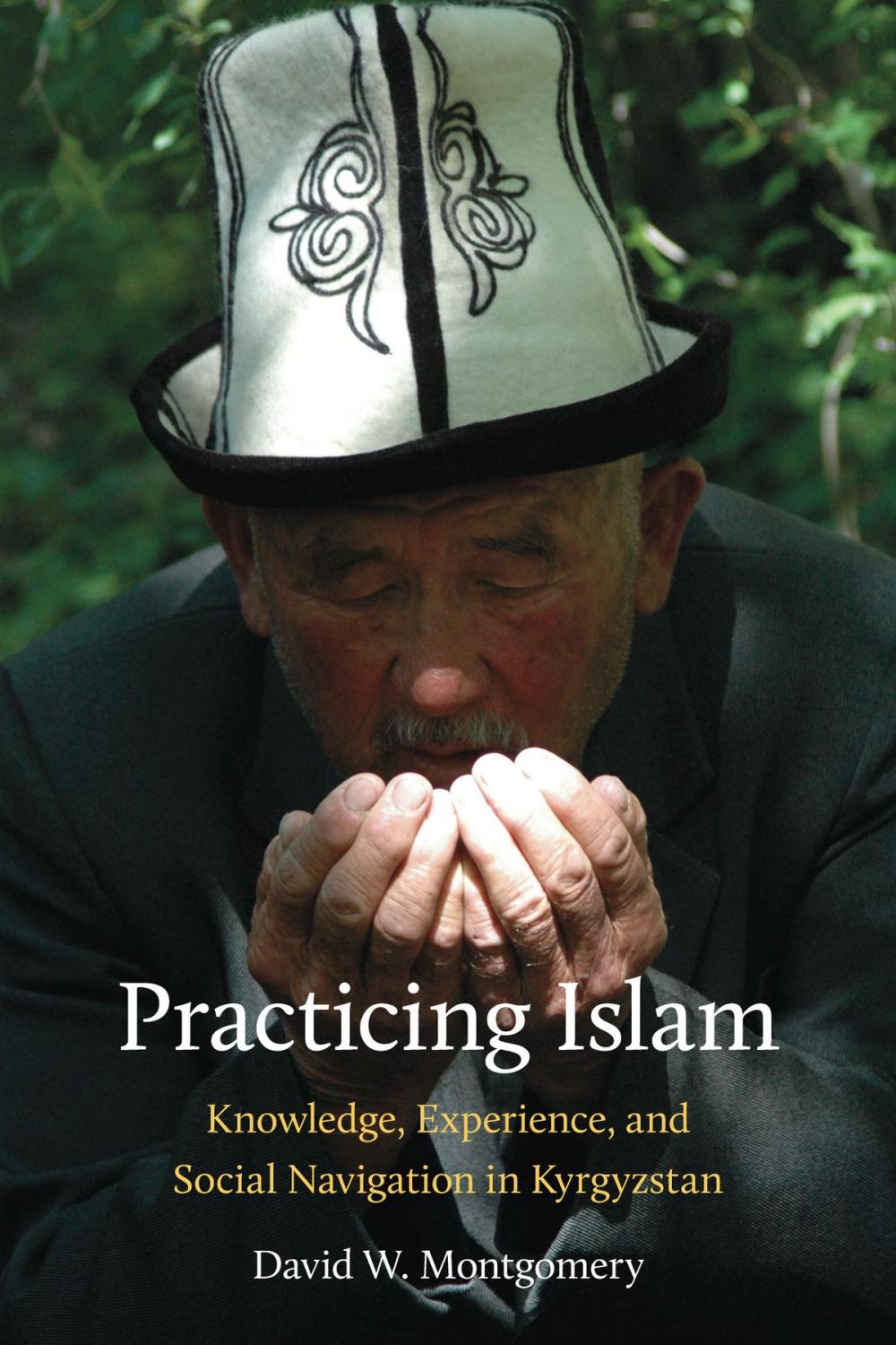 Big bigCover of Practicing Islam