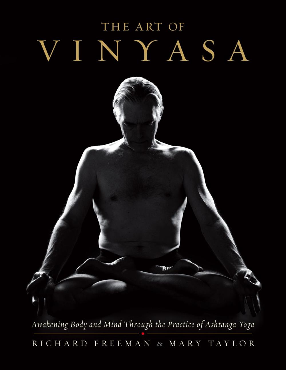 Big bigCover of The Art of Vinyasa