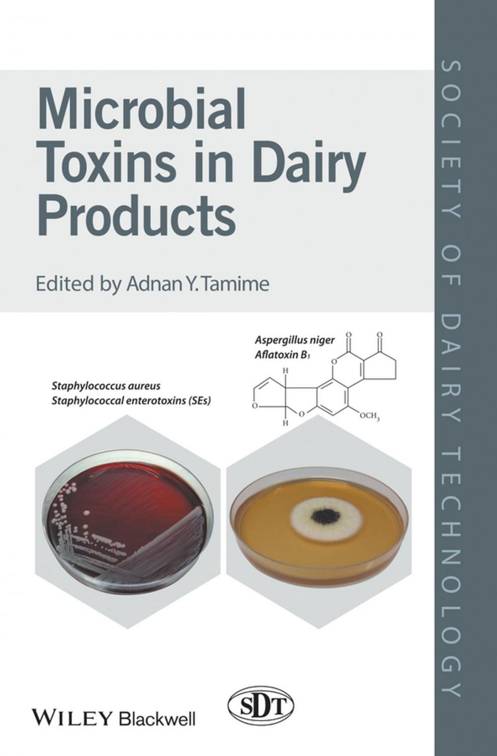 Big bigCover of Microbial Toxins in Dairy Products