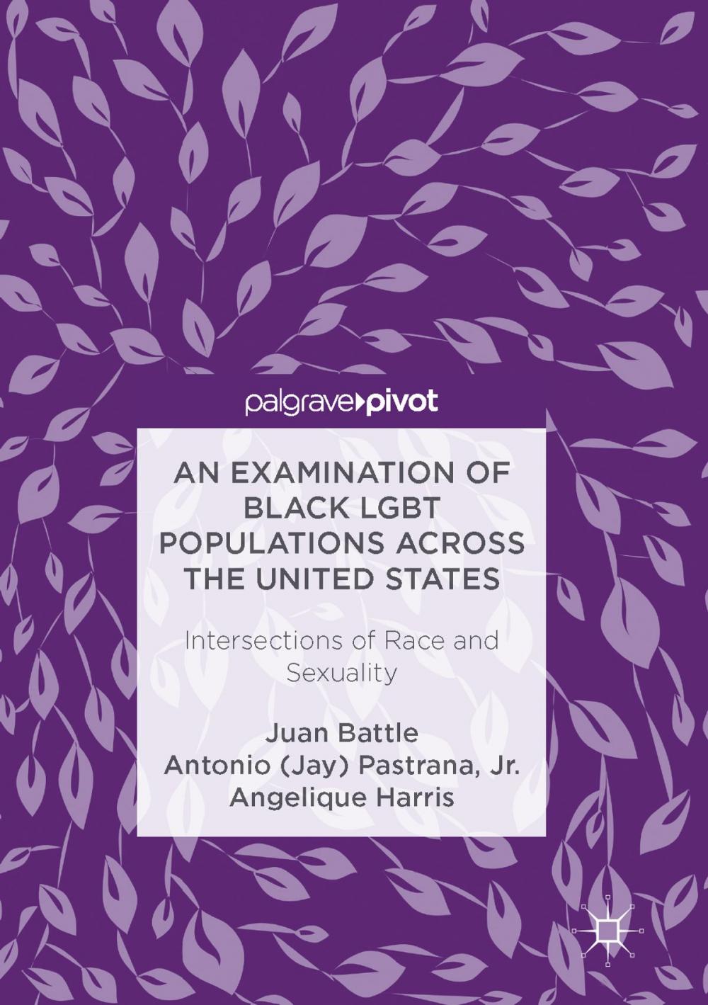 Big bigCover of An Examination of Black LGBT Populations Across the United States