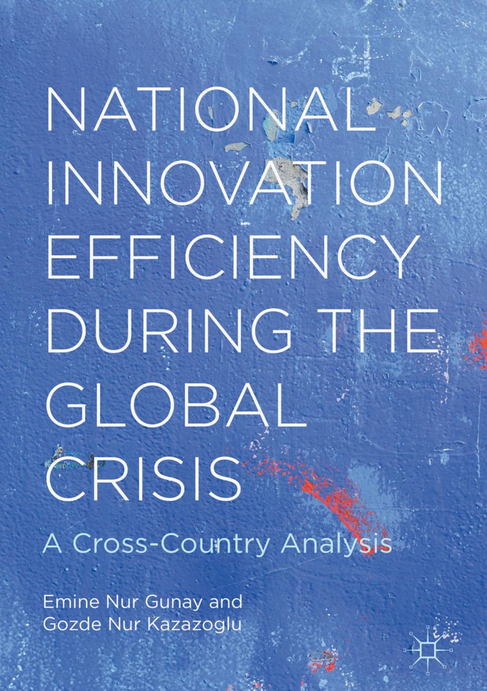 Big bigCover of National Innovation Efficiency During the Global Crisis