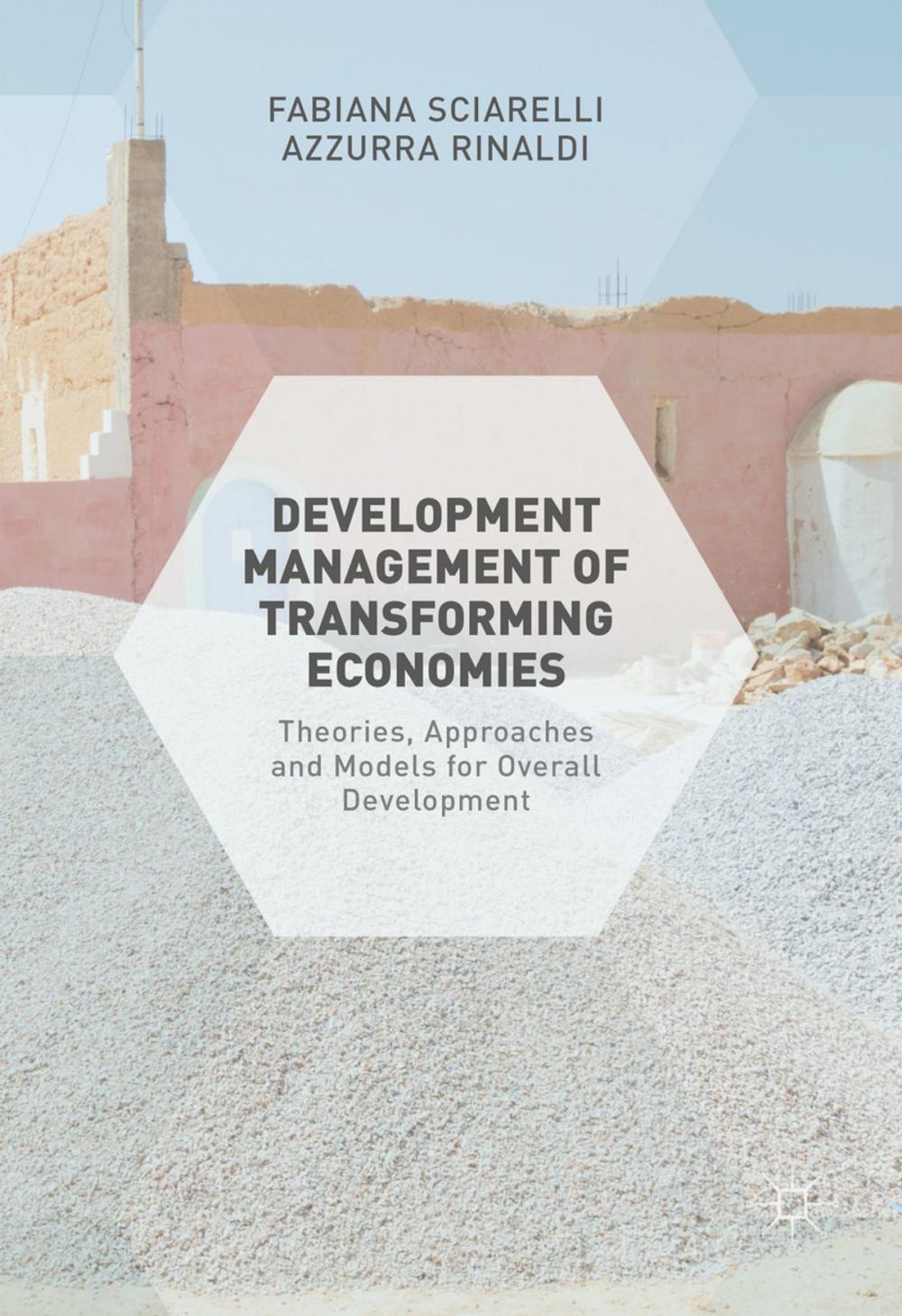 Big bigCover of Development Management of Transforming Economies