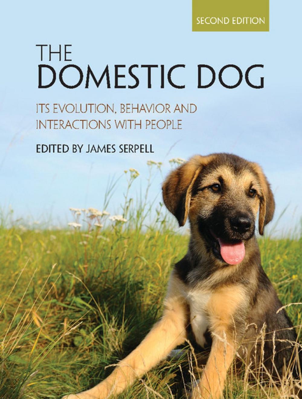 Big bigCover of The Domestic Dog