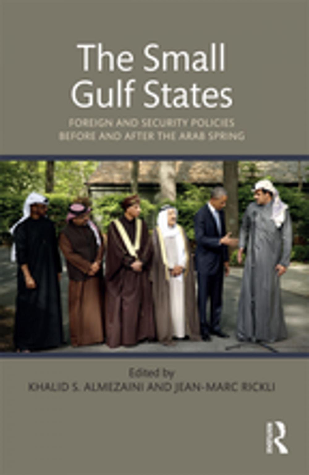 Big bigCover of The Small Gulf States