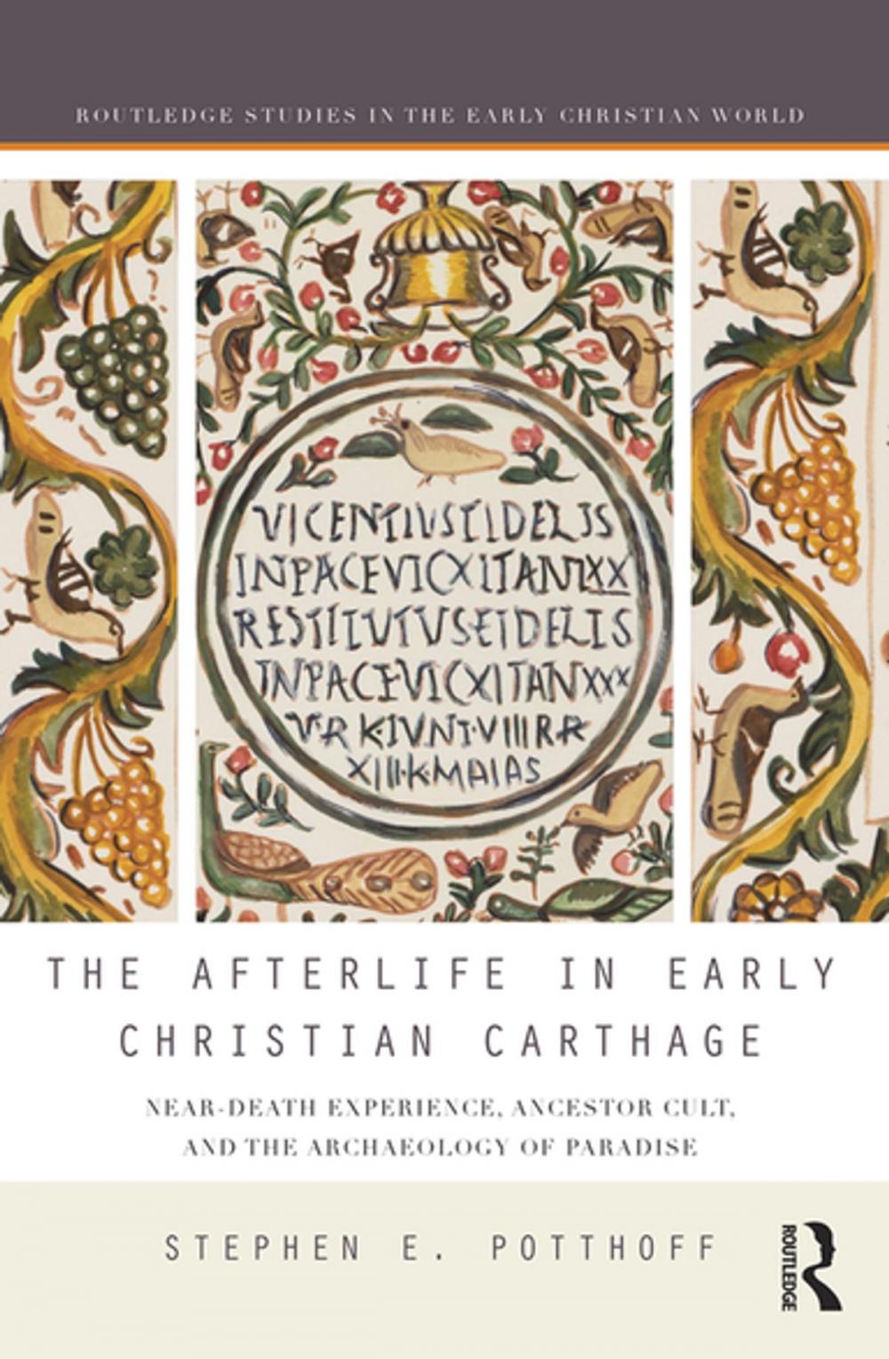 Big bigCover of The Afterlife in Early Christian Carthage