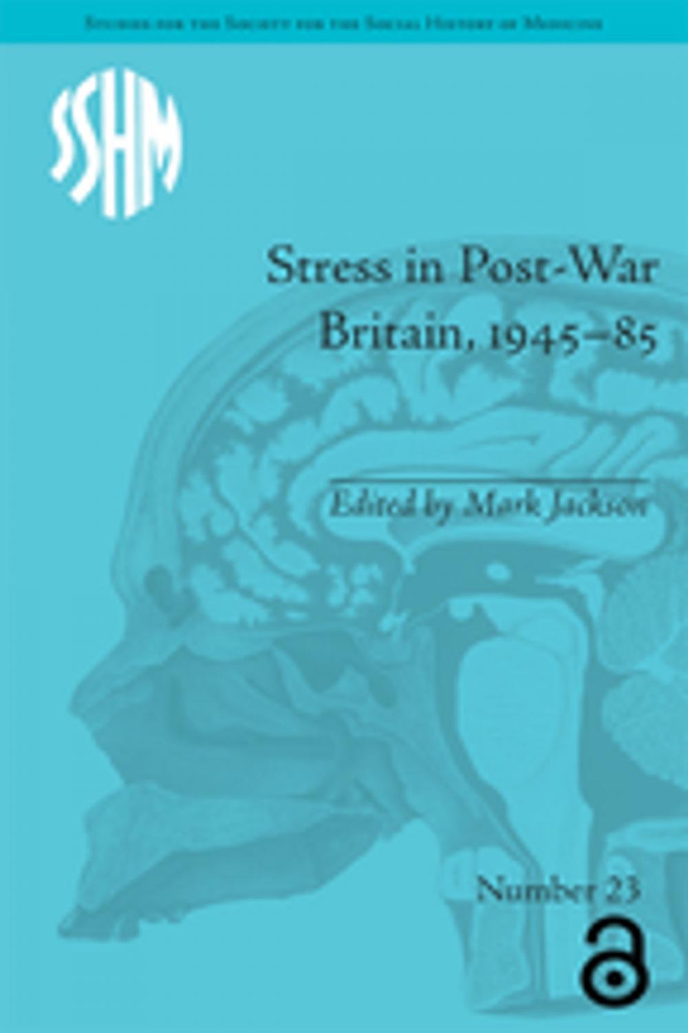 Big bigCover of Stress in Post-War Britain