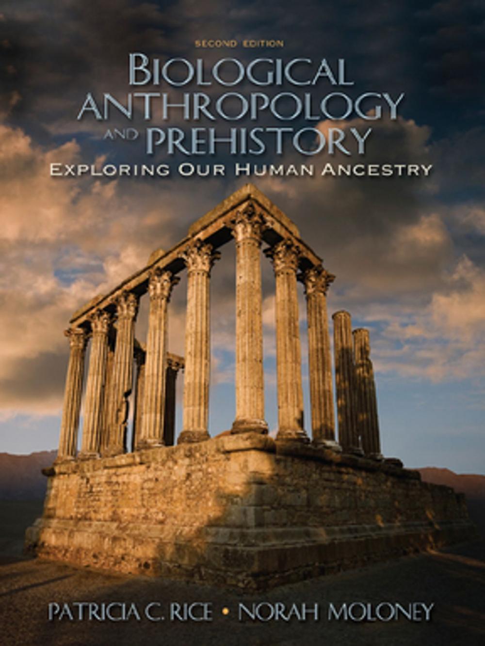Big bigCover of Biological Anthropology and Prehistory