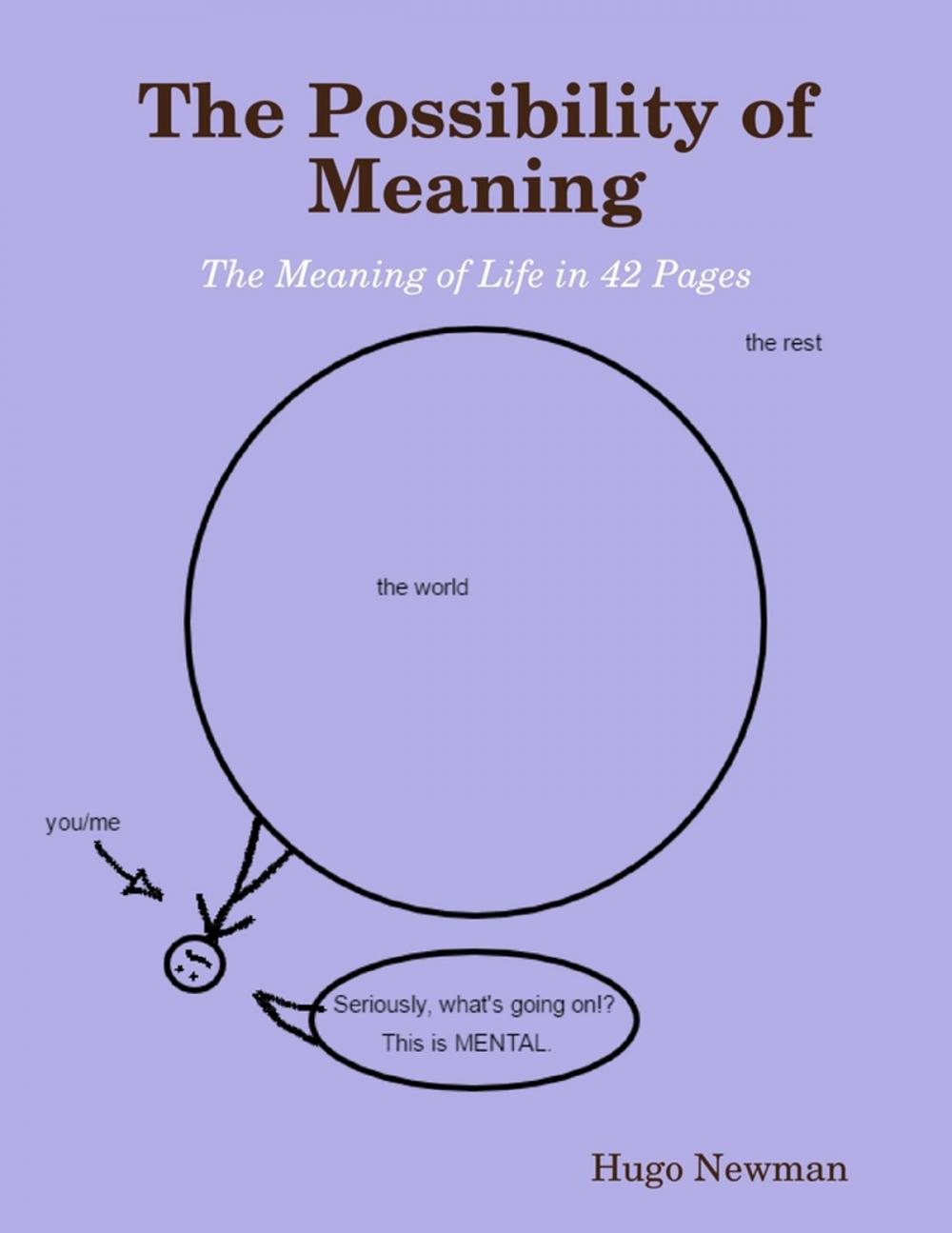 Big bigCover of The Possibility of Meaning