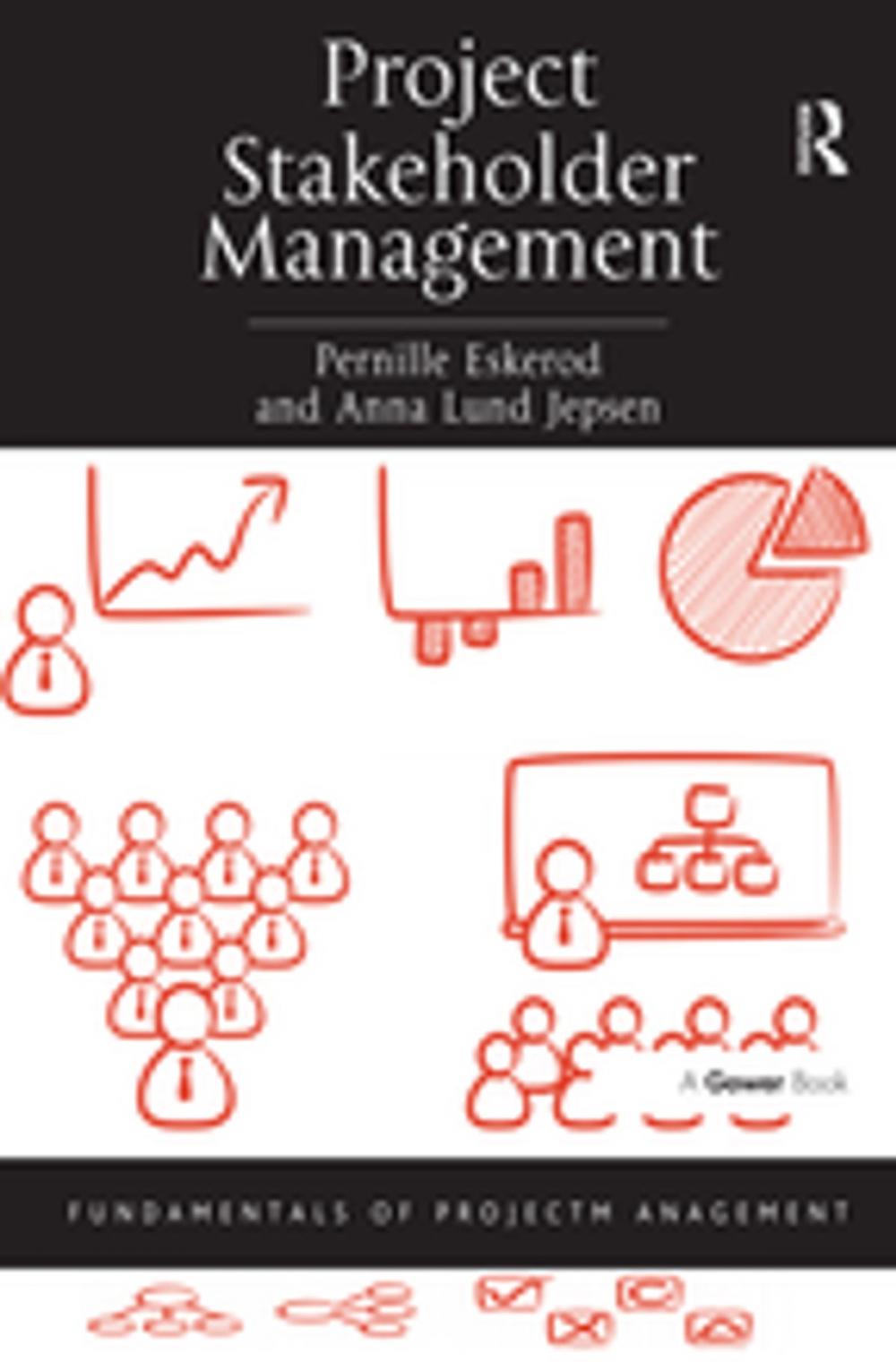 Big bigCover of Project Stakeholder Management