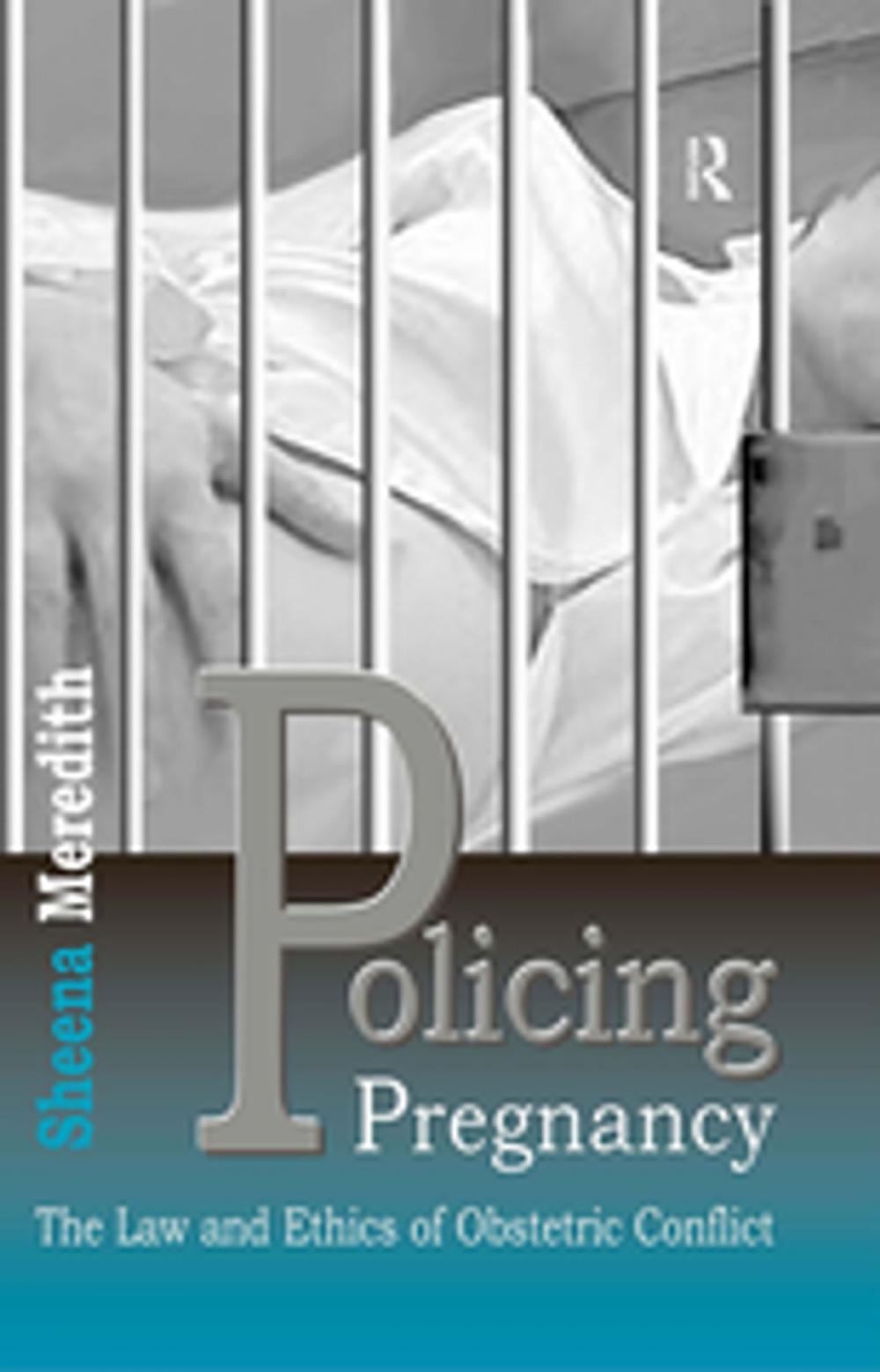 Big bigCover of Policing Pregnancy