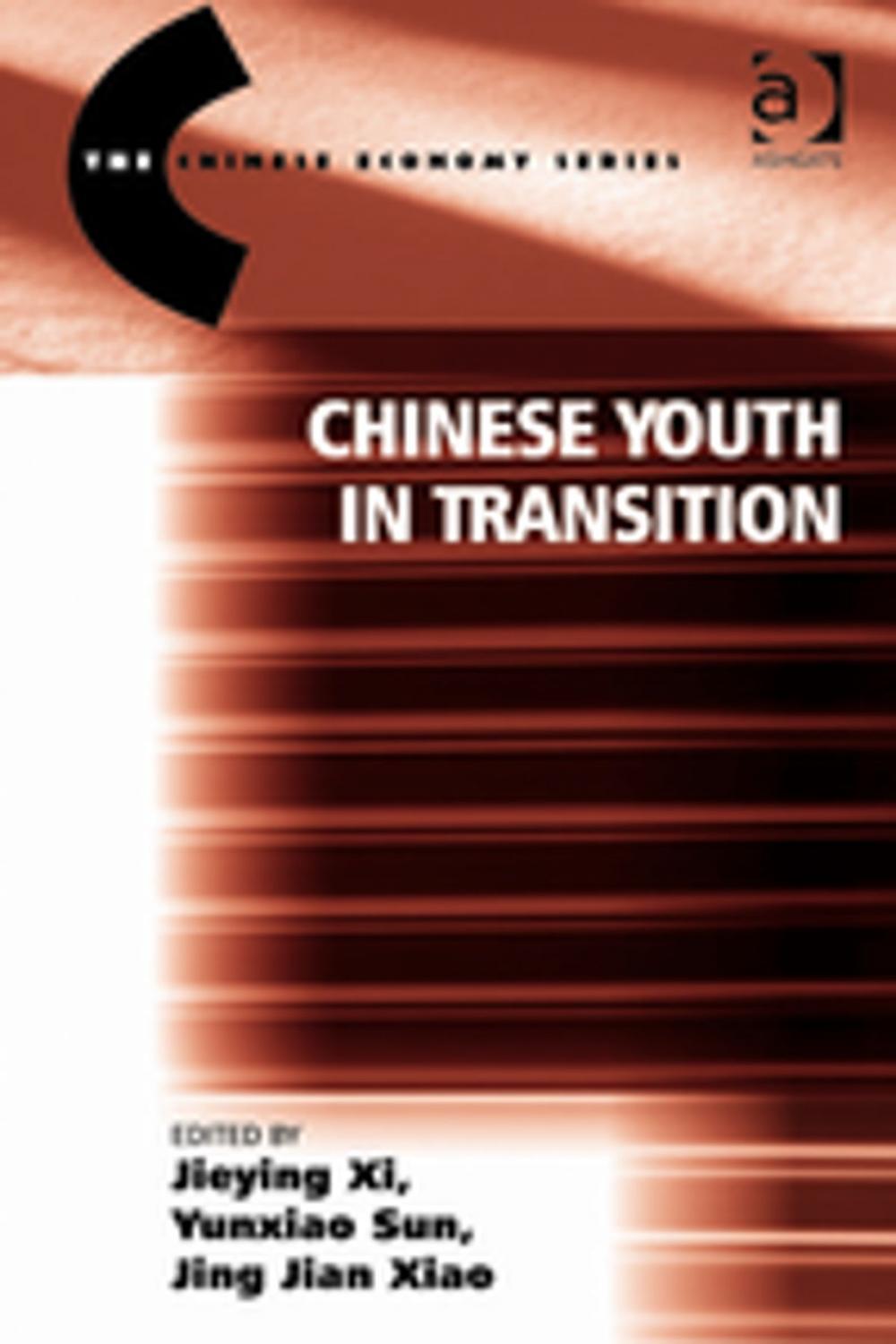 Big bigCover of Chinese Youth in Transition