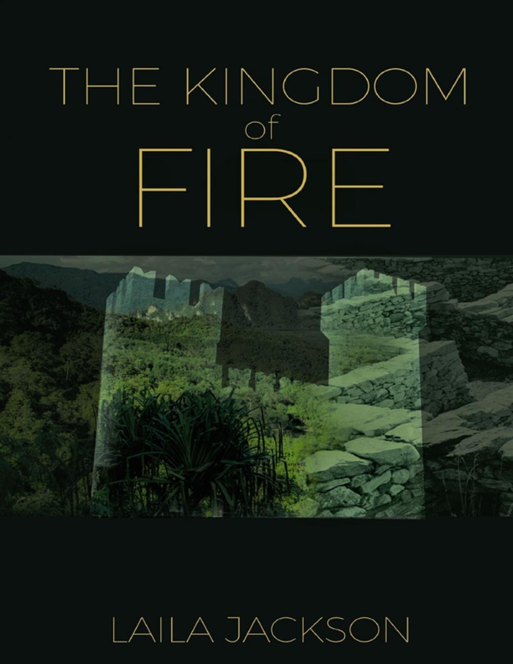 Big bigCover of The Kingdom of Fire