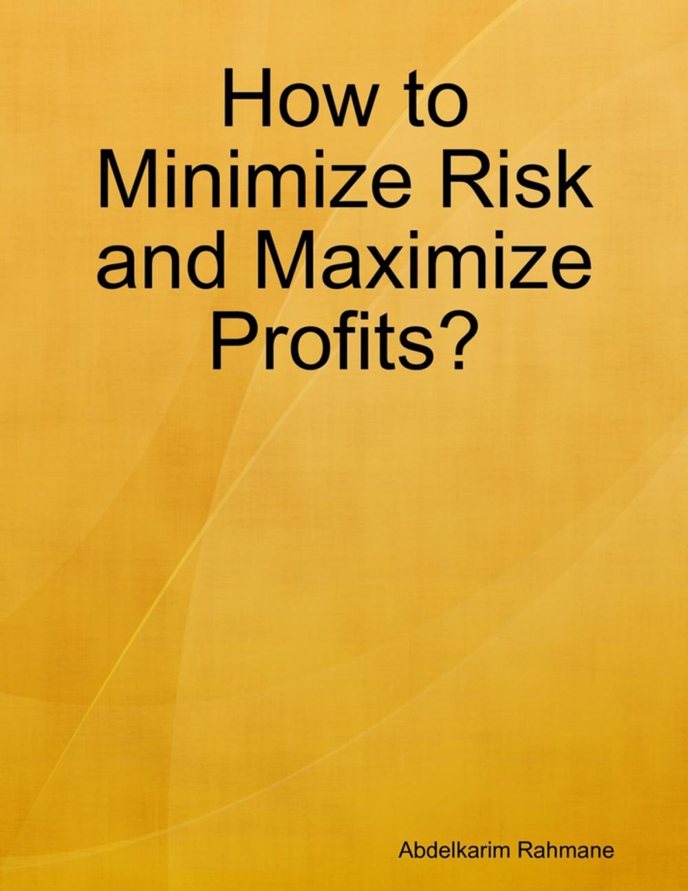 Big bigCover of How to Minimize Risk and Maximize Profits?