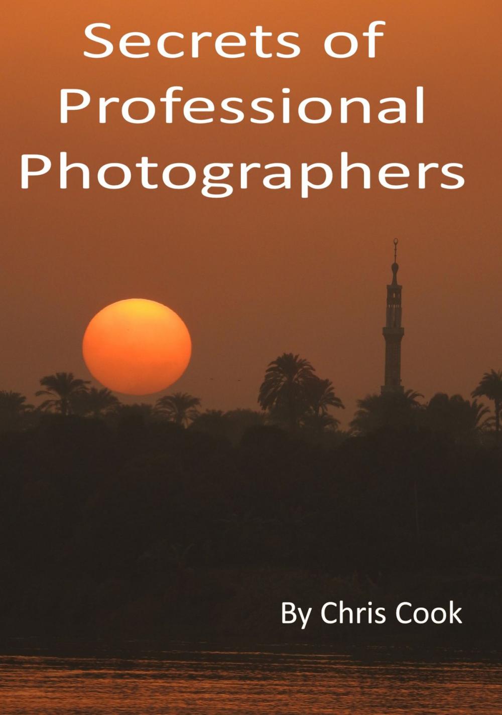 Big bigCover of Secrets of Professional Photographers