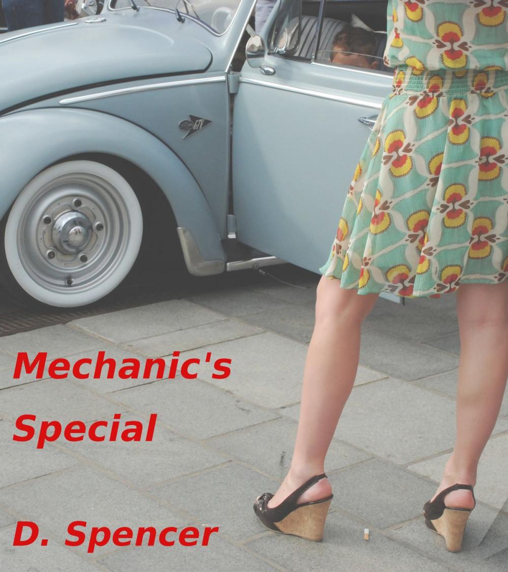 Big bigCover of Mechanic's Special