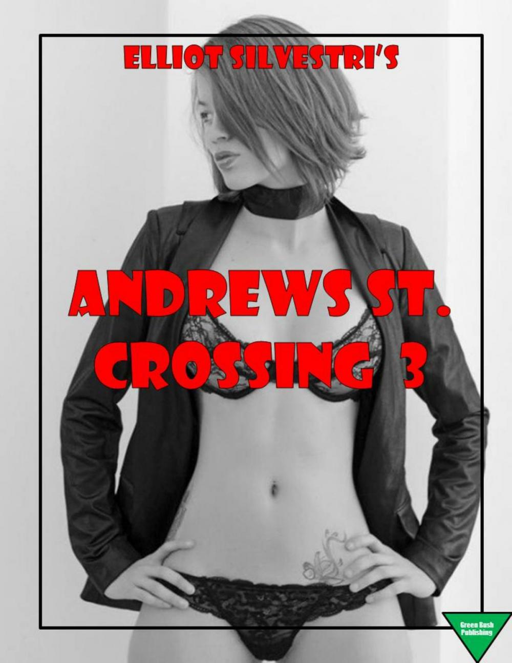 Big bigCover of Andrews St. Crossing 3