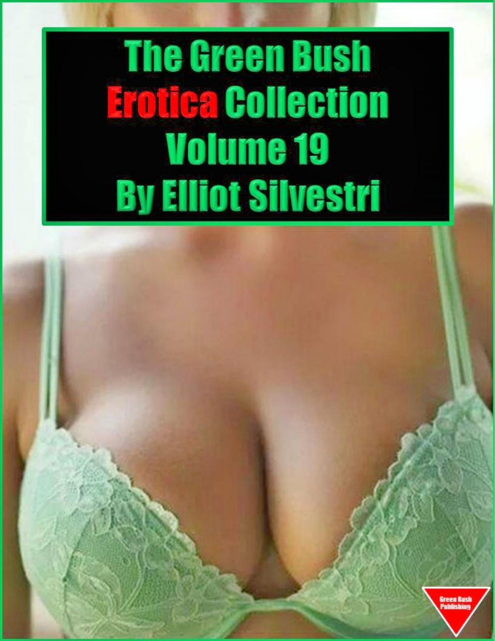 Big bigCover of The Green Bush Erotica Collection Volume 19