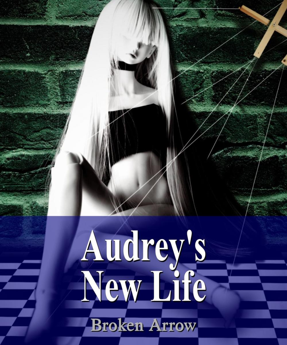 Big bigCover of Audrey's New Life