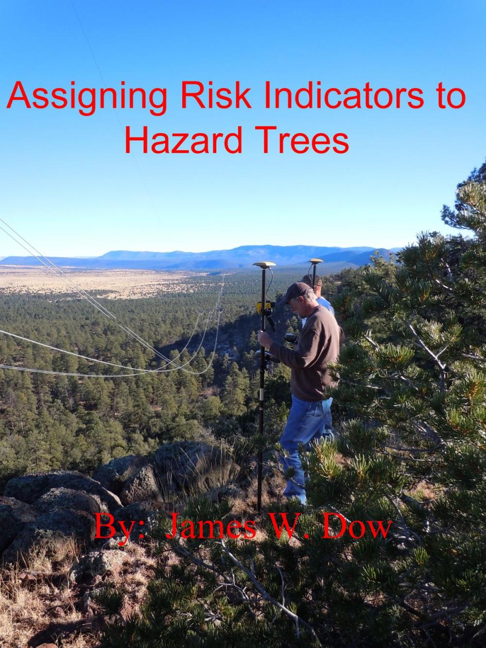 Big bigCover of Assigning Risk Indicators to Hazard Trees