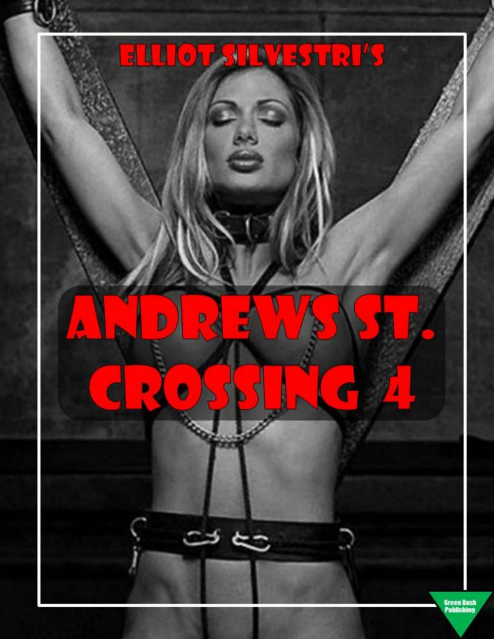 Big bigCover of Andrews St. Crossing 4