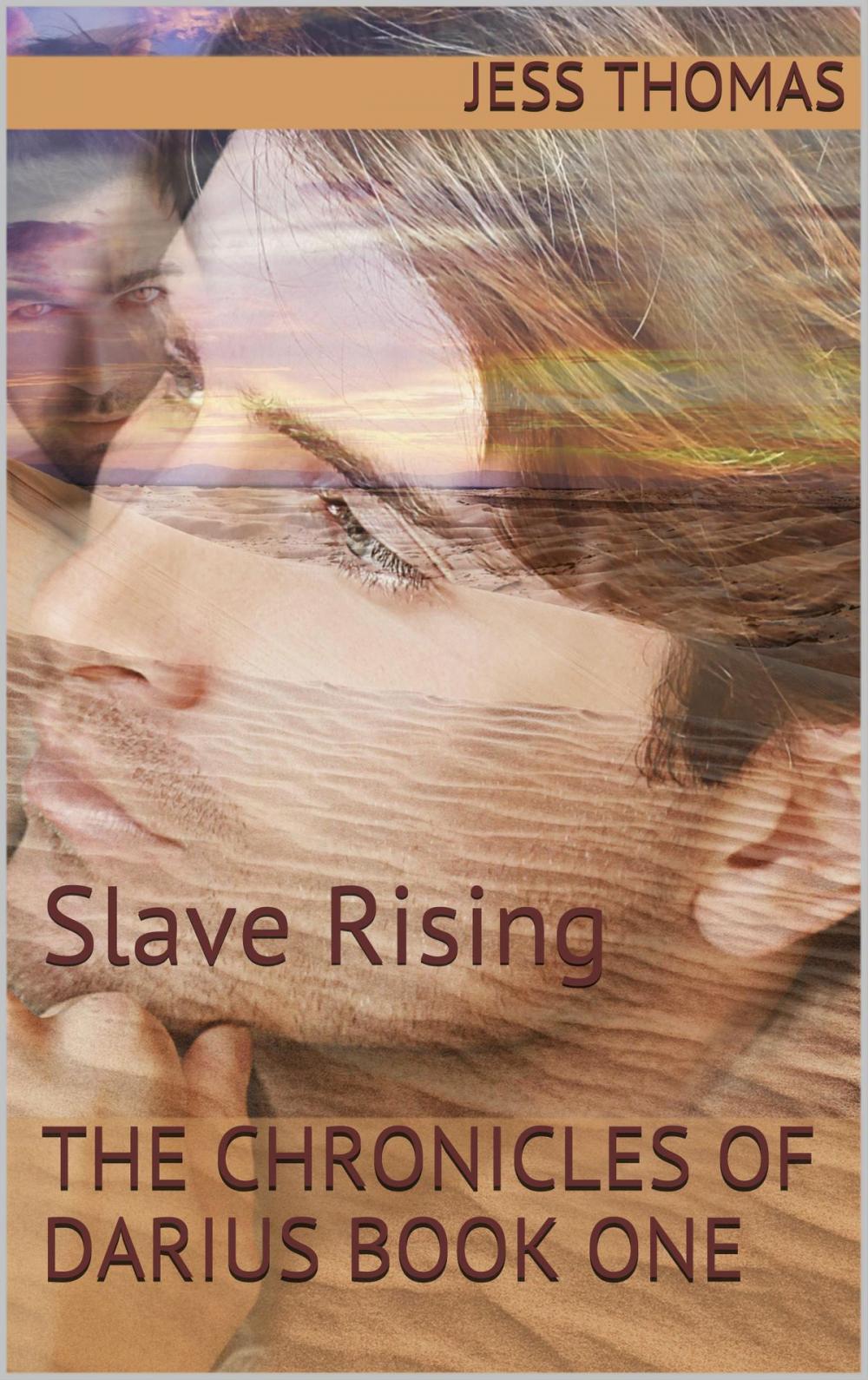 Big bigCover of The Chronicles of Darius Book One: Slave Rising