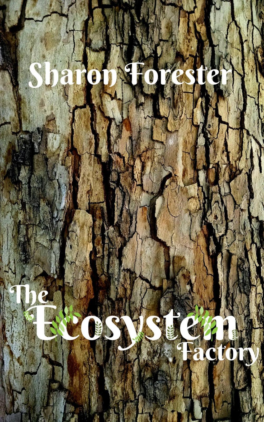 Big bigCover of The Ecosystem Factory